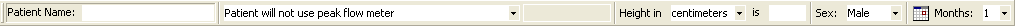 Asthma Action Plan Toolbar